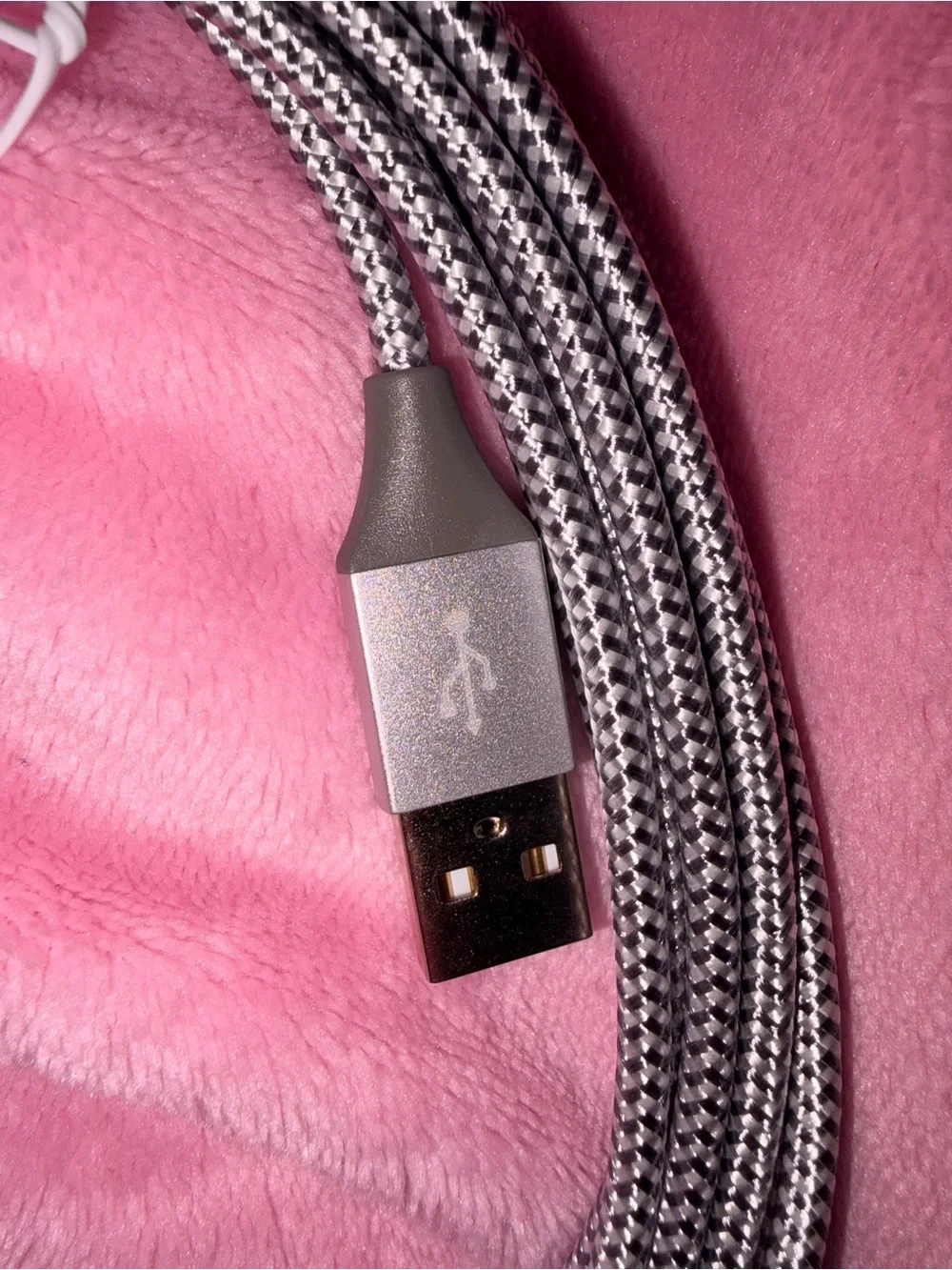 Braided Lightning to USB Charging Cable - Silver